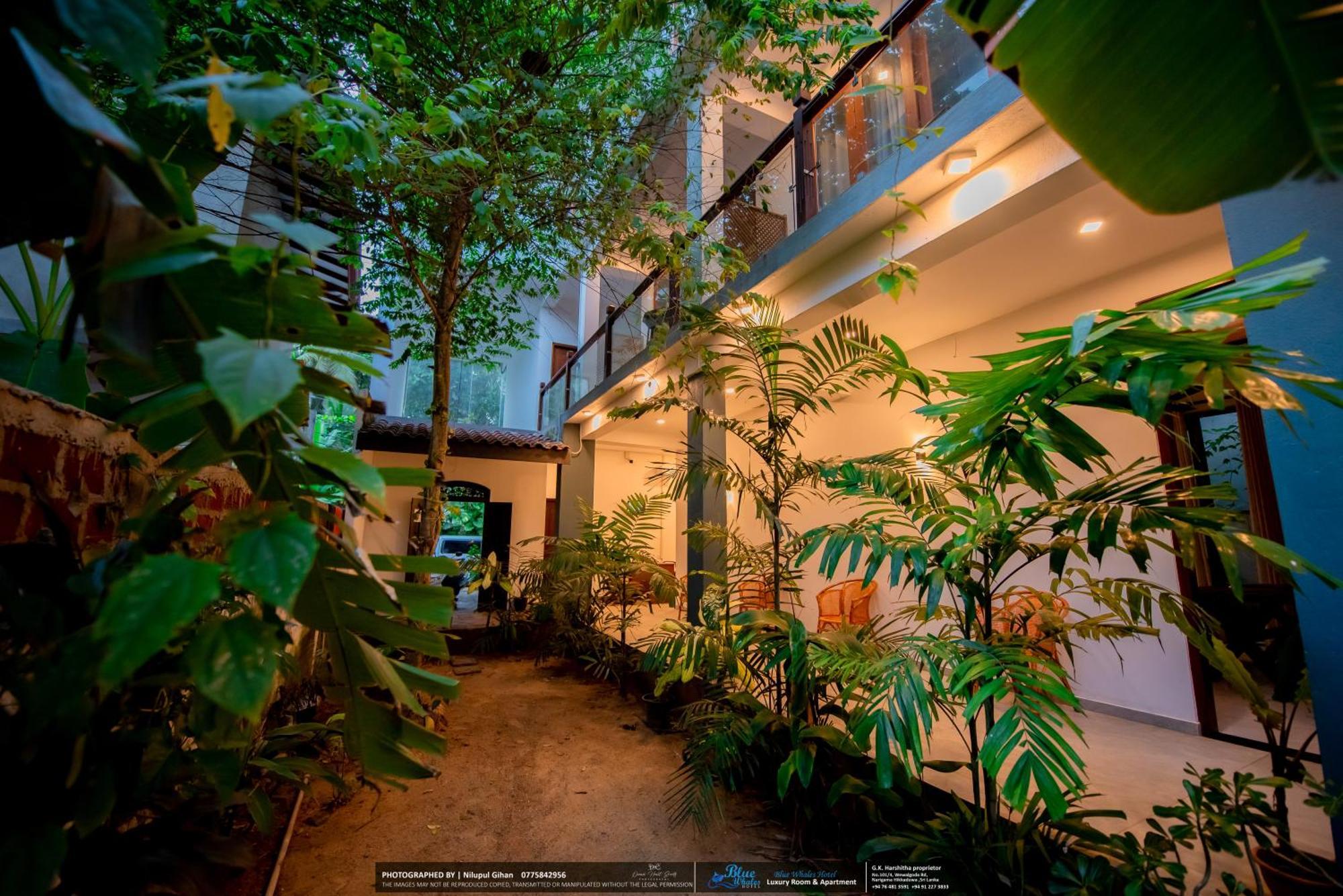 Blue Whales Hotel Hikkaduwa Exterior foto