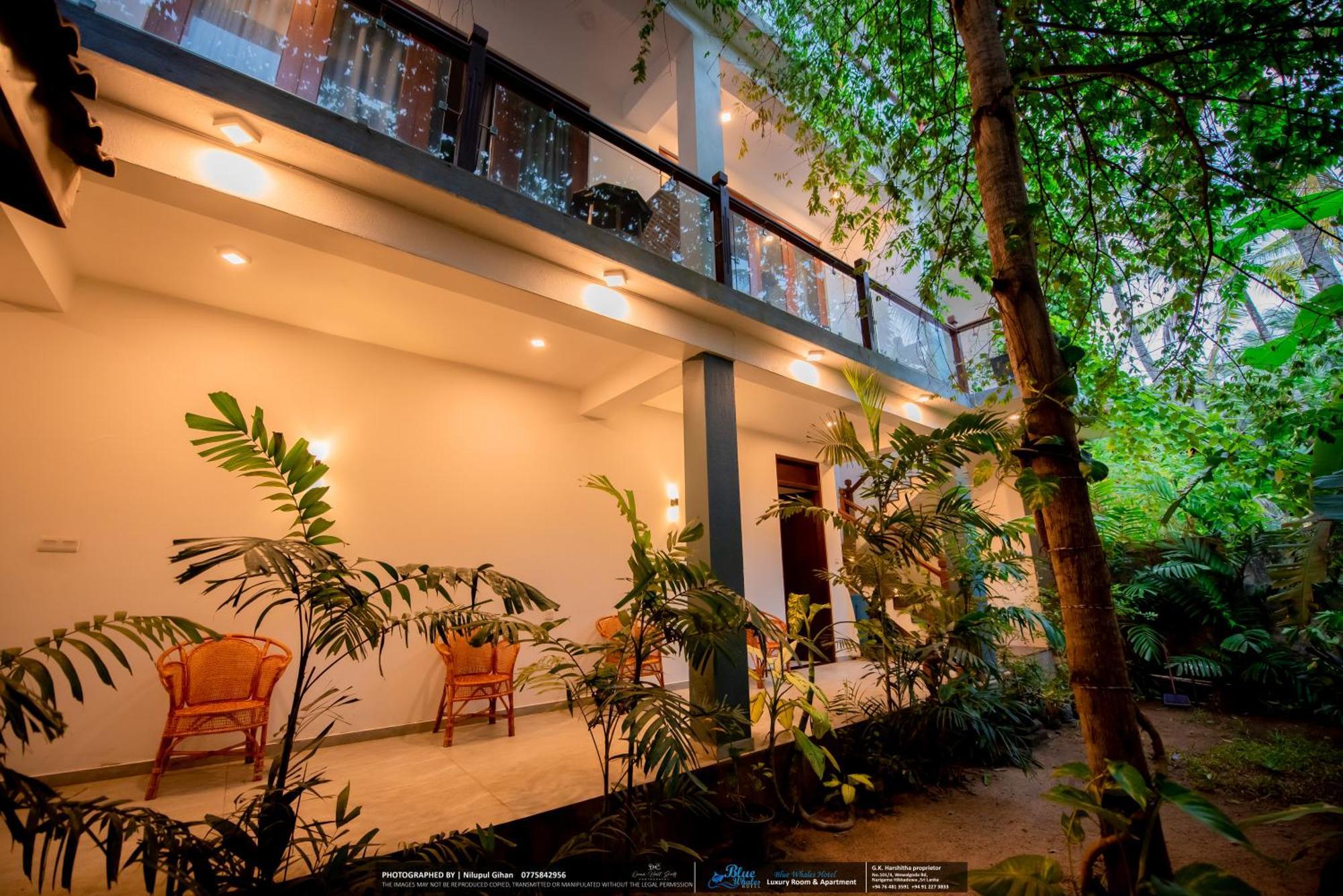 Blue Whales Hotel Hikkaduwa Exterior foto
