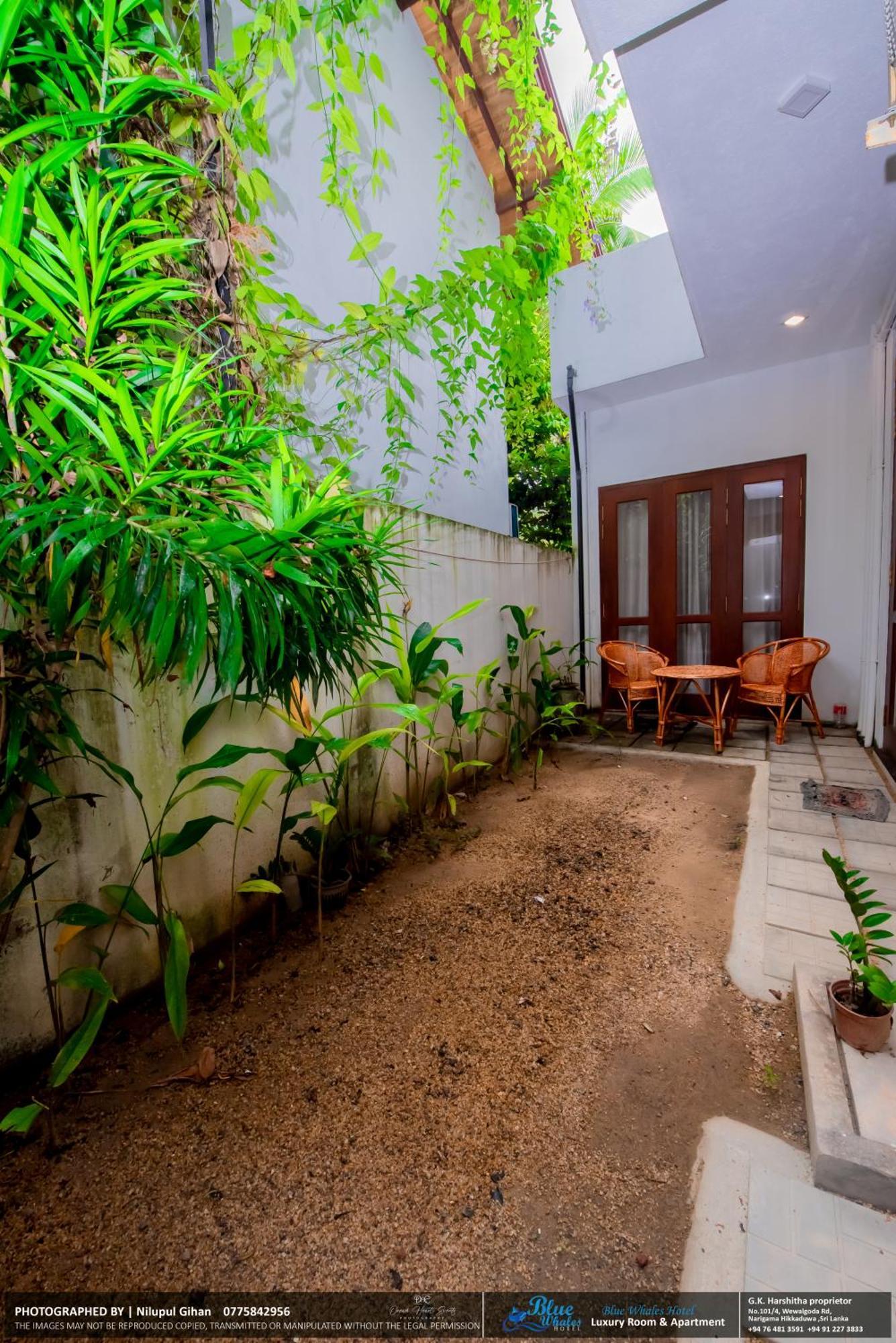 Blue Whales Hotel Hikkaduwa Exterior foto